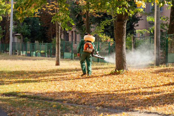 Best Residential Pest Control  in Reading, MI