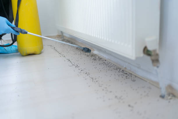 Best Affordable Pest Control Services  in Reading, MI