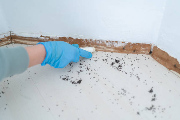 Best Commercial Pest Control Services  in Reading, MI