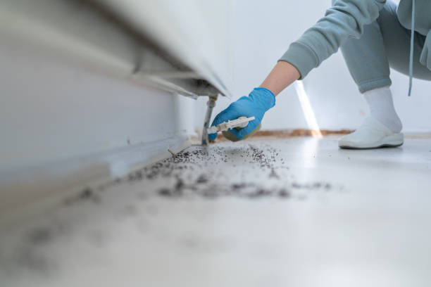 Best Cockroach Control Services  in Reading, MI