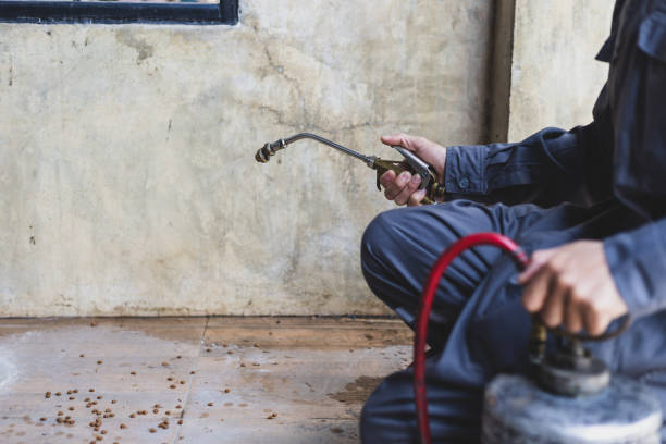 Best Pest Removal Services  in Reading, MI