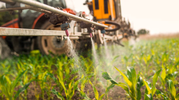 Best Ant Control Services  in Reading, MI